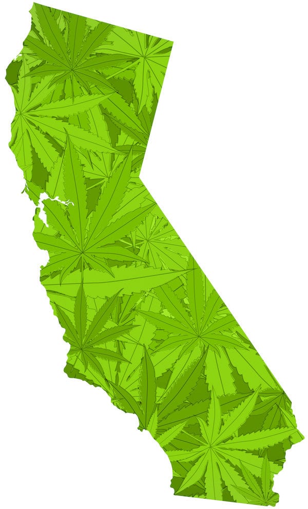 California Is Still A Leader in Pot