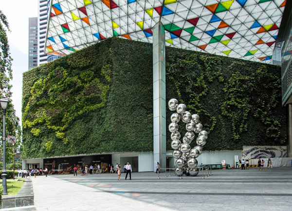 Lead - Office Vertical Gardens