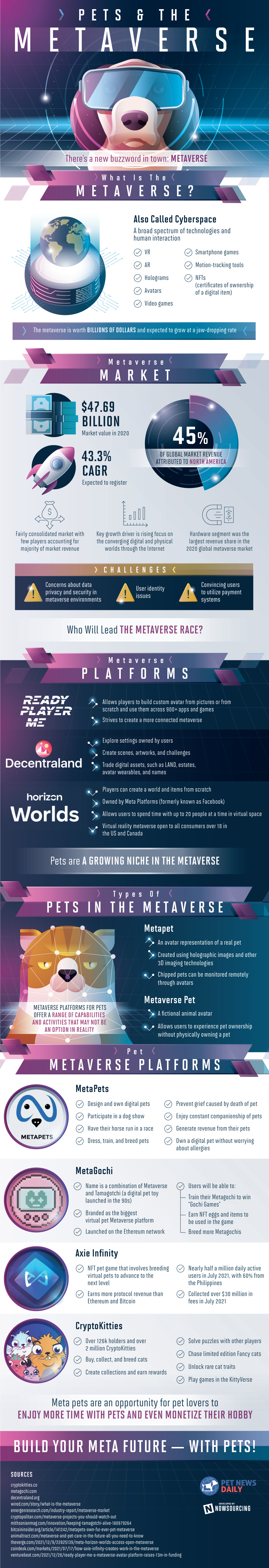 Pets and the Metaverse Infographic